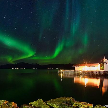 Lofoten Gate Hostel Lodingen Bagian luar foto